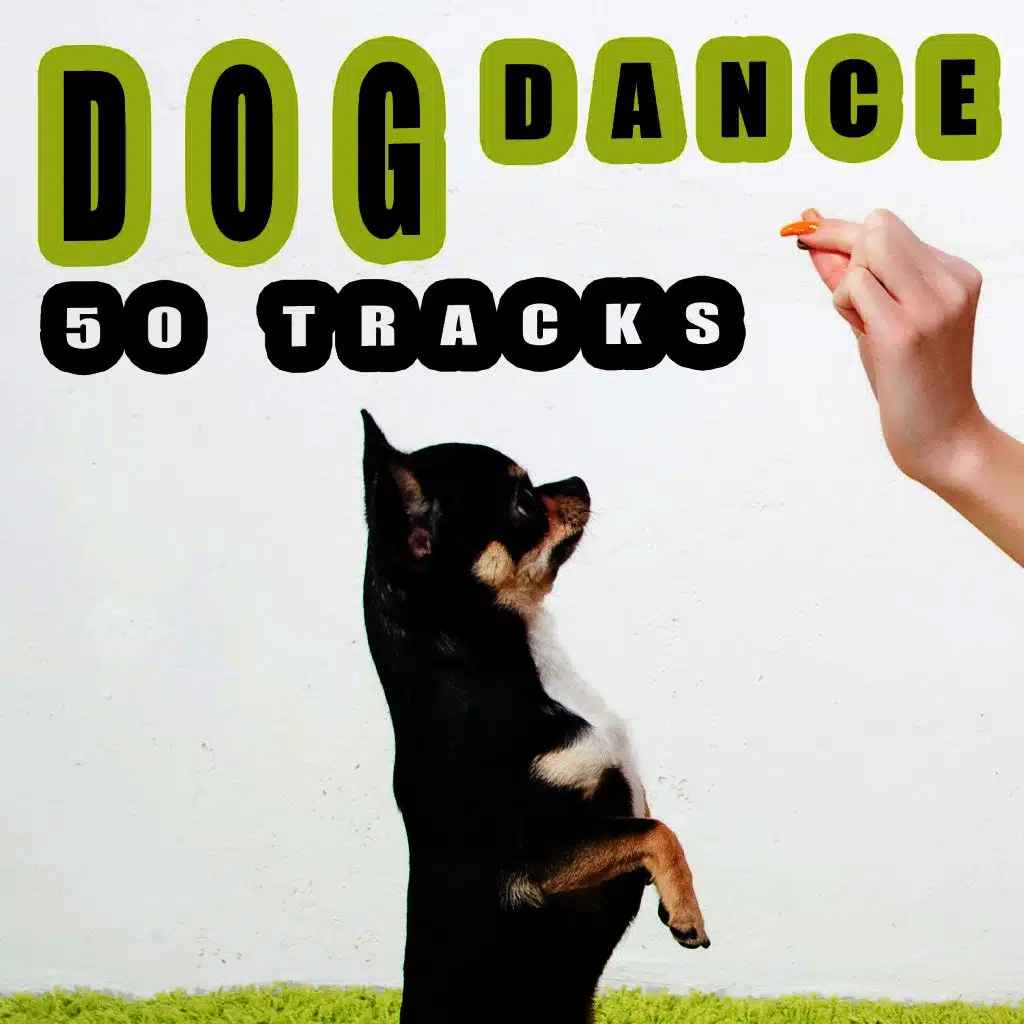 Dog Dance - 50 Tracks