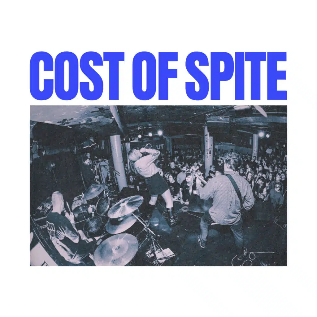 COST OF SPITE