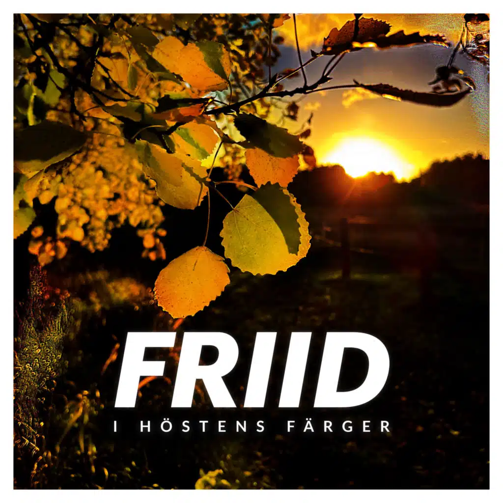 FRIID