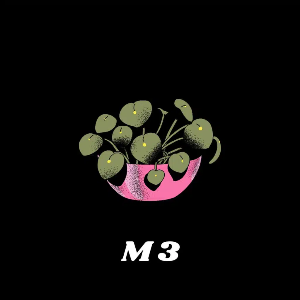 M 3, THE HAMU & LIL HAMU