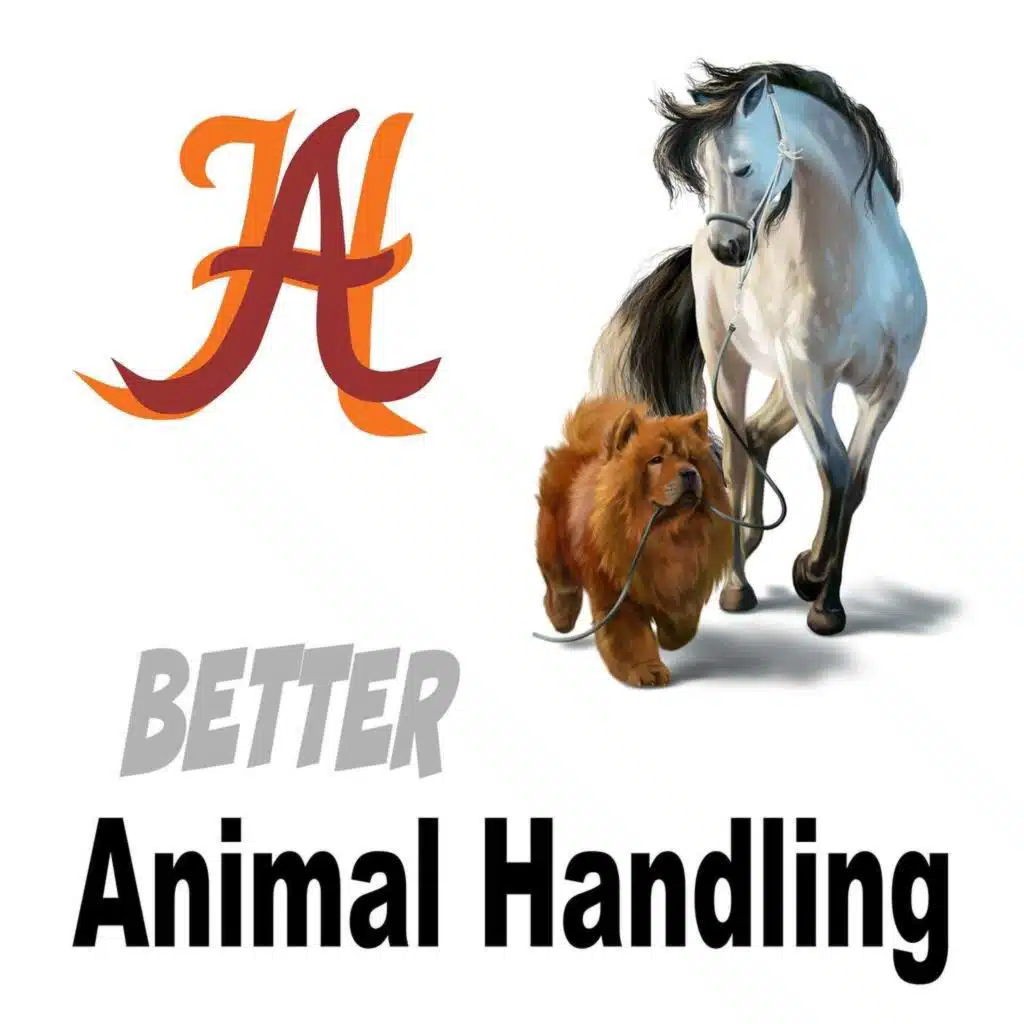 The Use of Twitches in Horses