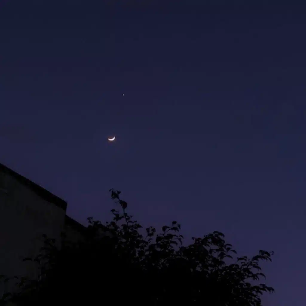 Under Light (feat. Ry-u)