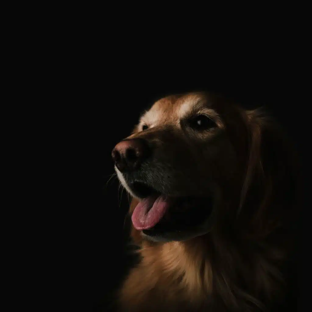 Hip Hop Instrumentals