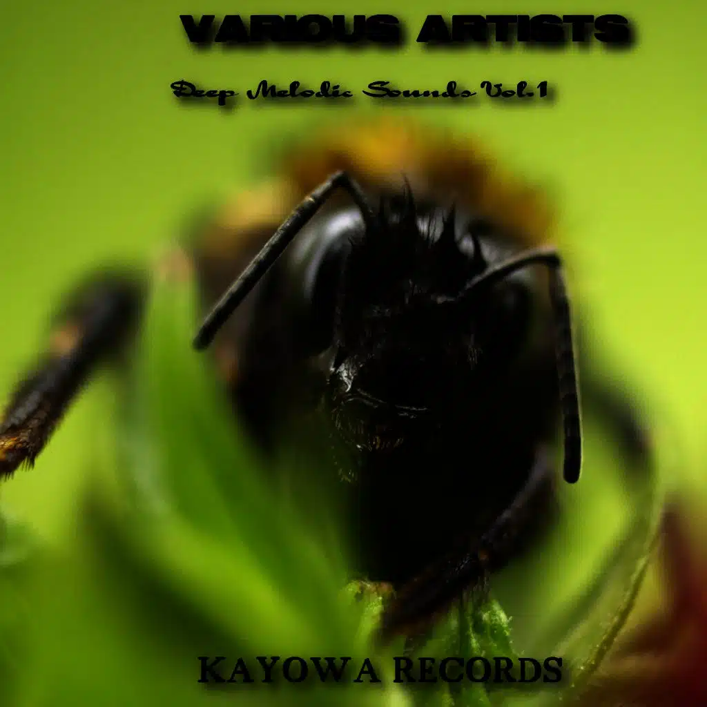 Deep Melodic Sounds, Vol. 1