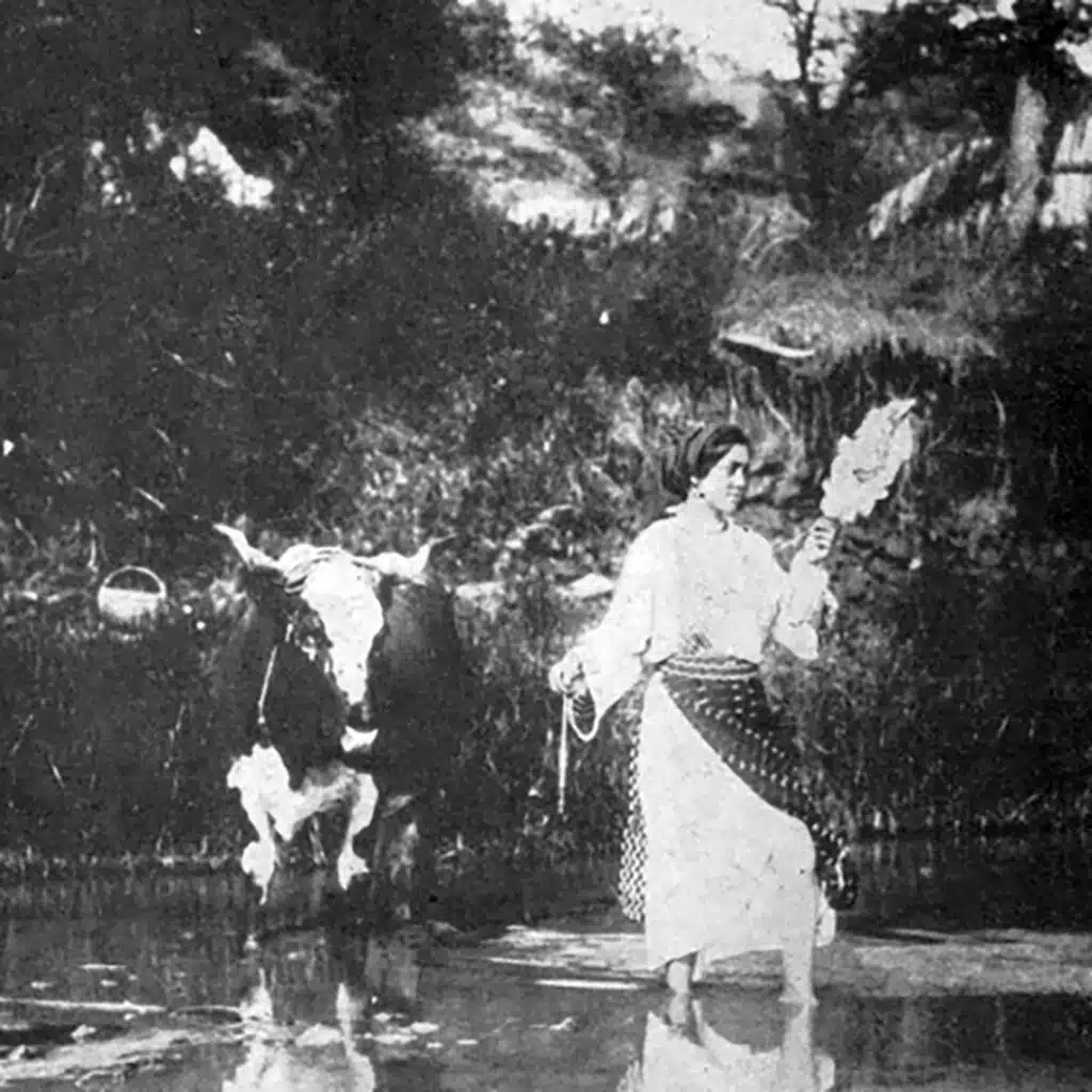 Cântecul fusului - George Coşbuc