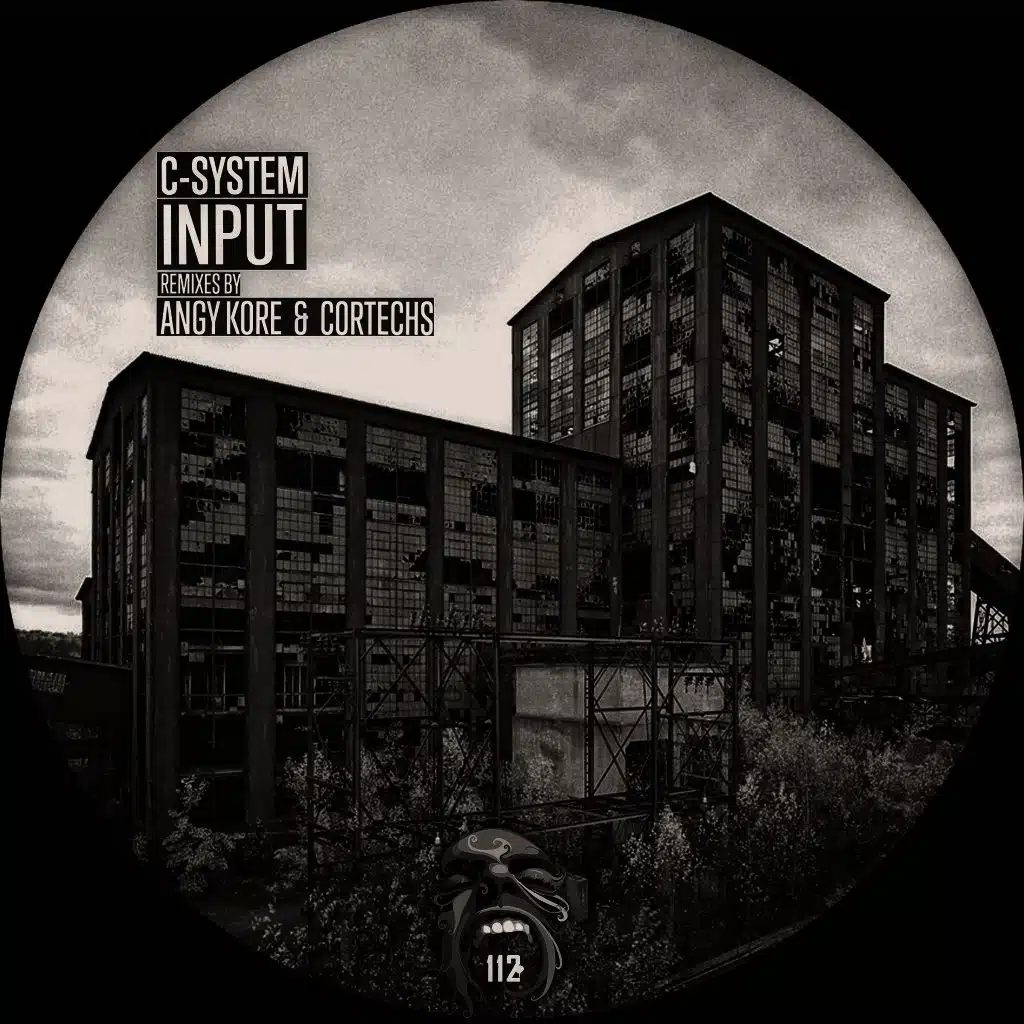 Input 2