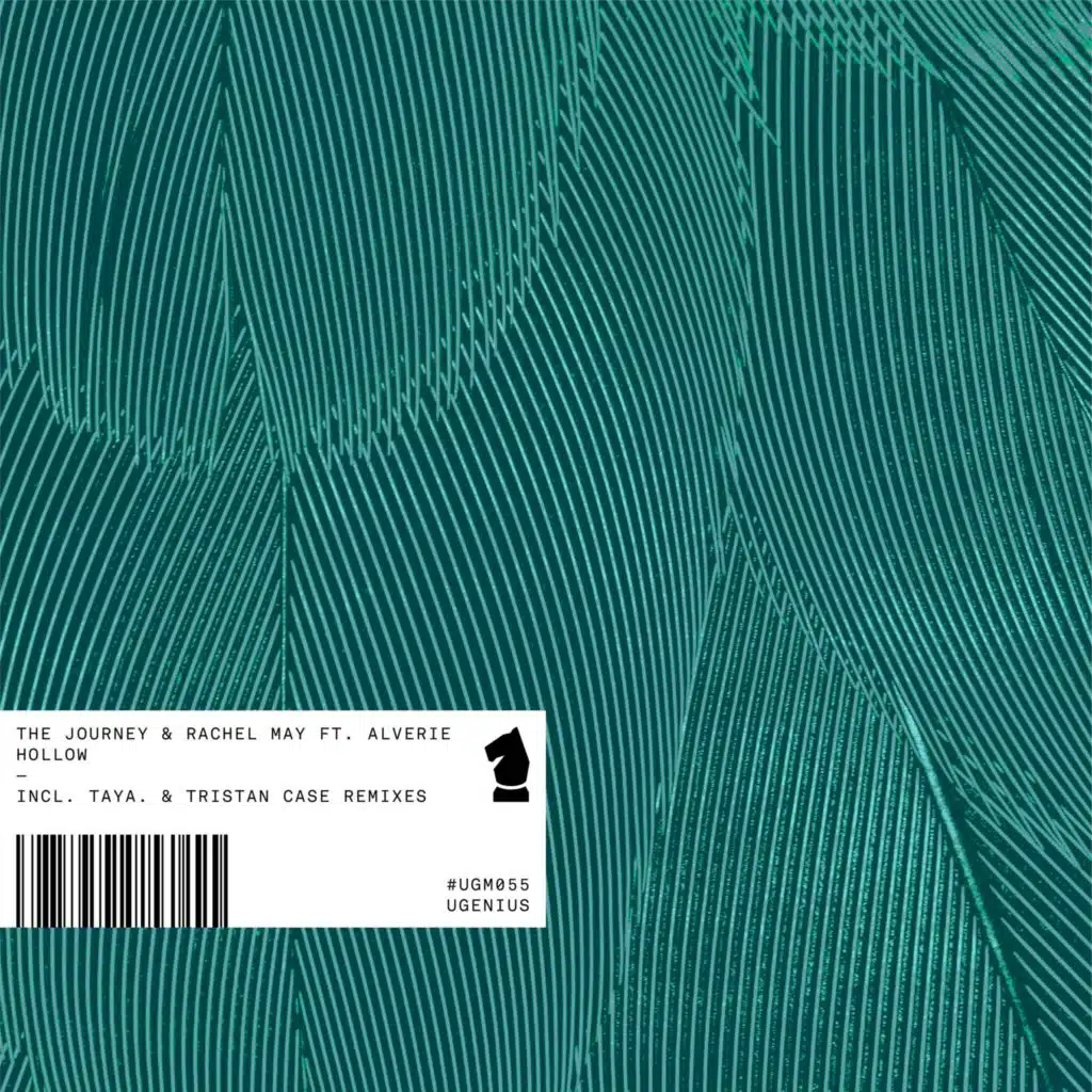 Hollow (feat. Alverie)