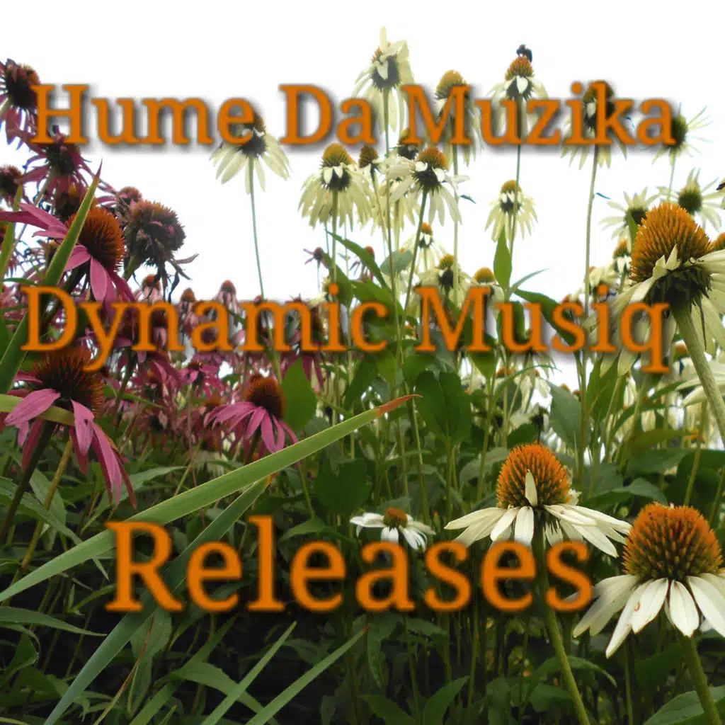 Dynamic Musiq Releases