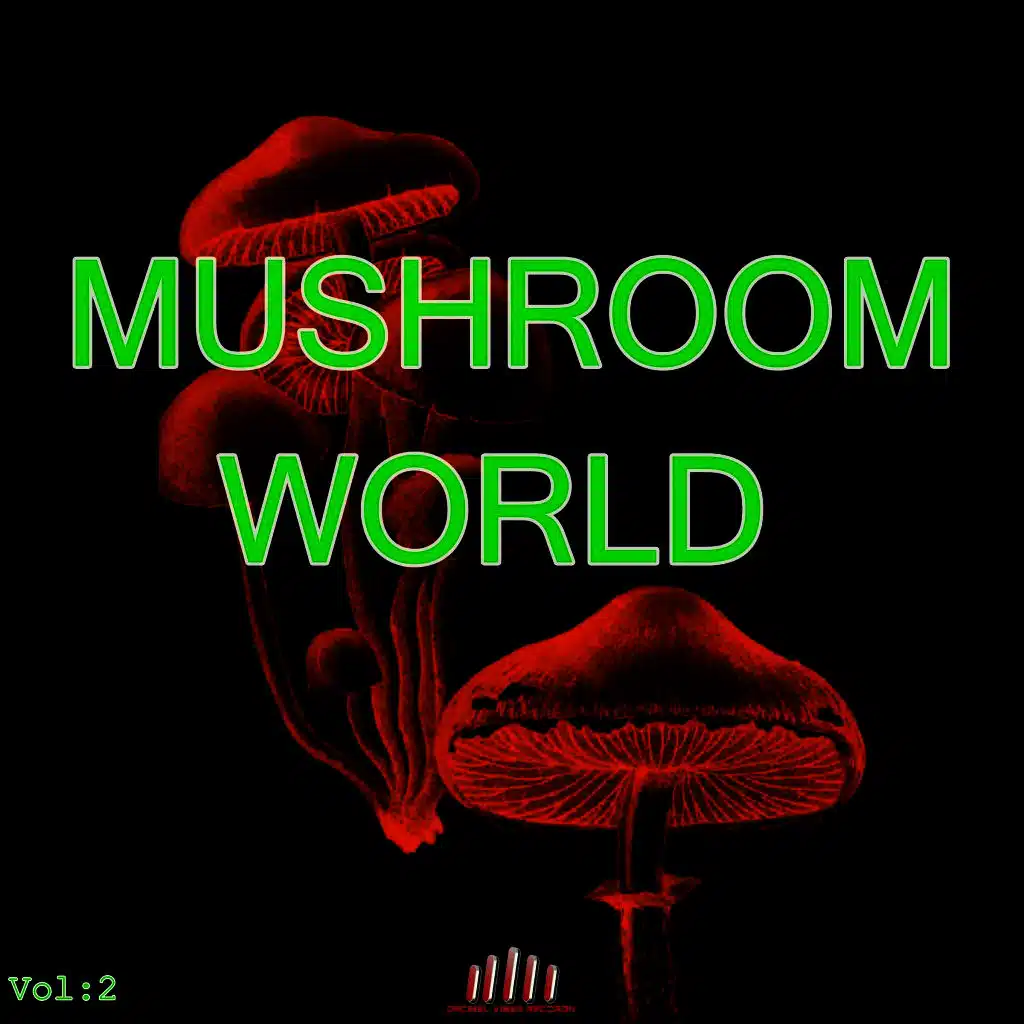 Mushroom World, Vol. 2