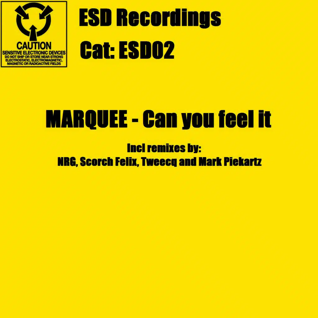 Can You Feel It (Mark Piekartz Remix)
