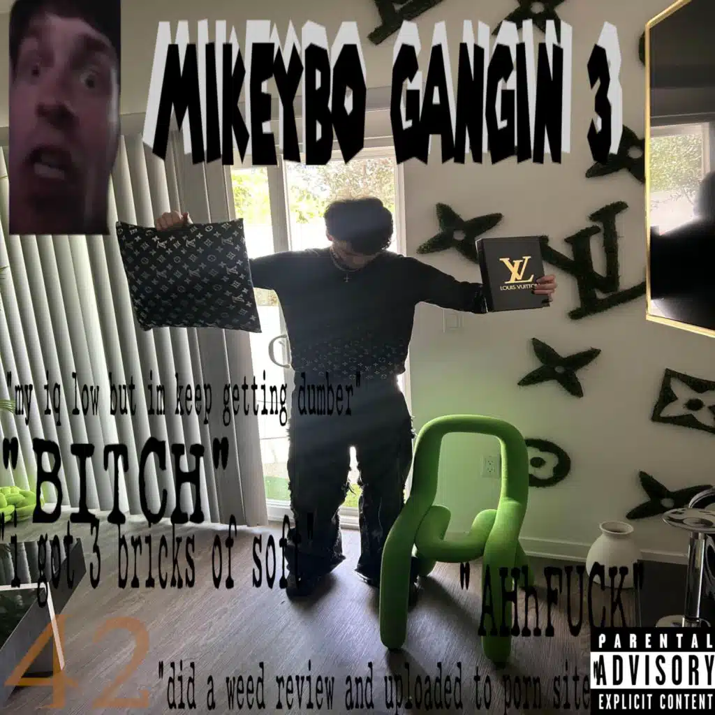 Plug Mike