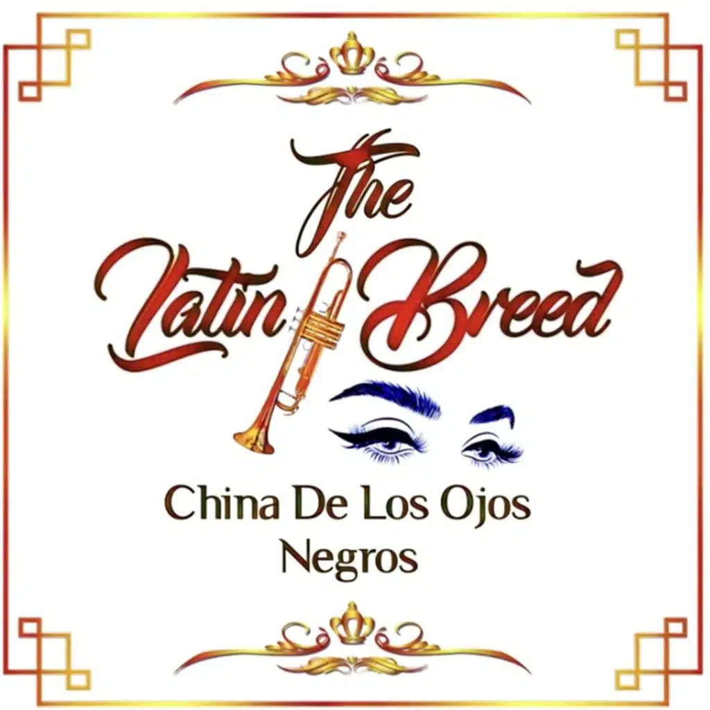Latin Breed