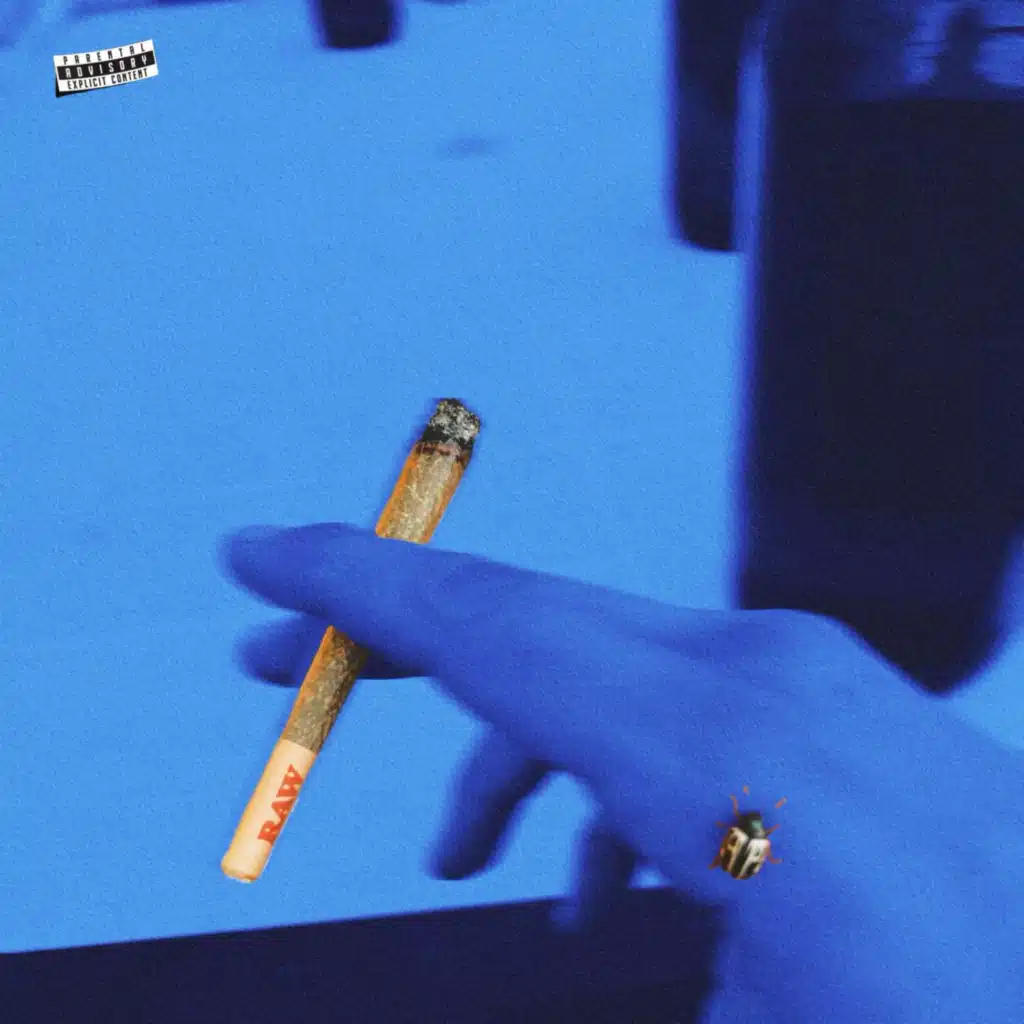 Code.ima & el ultimo canto de los pajaros