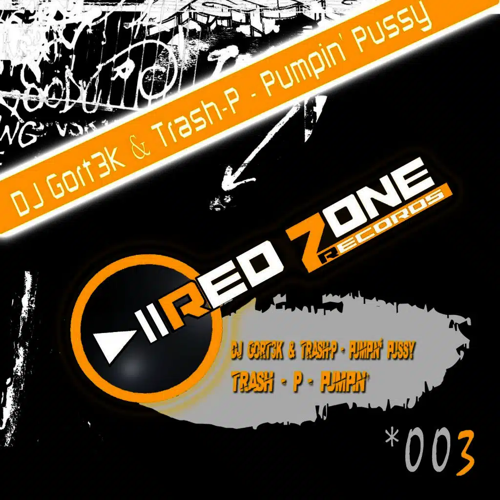 DJ Gort3k & Trash P