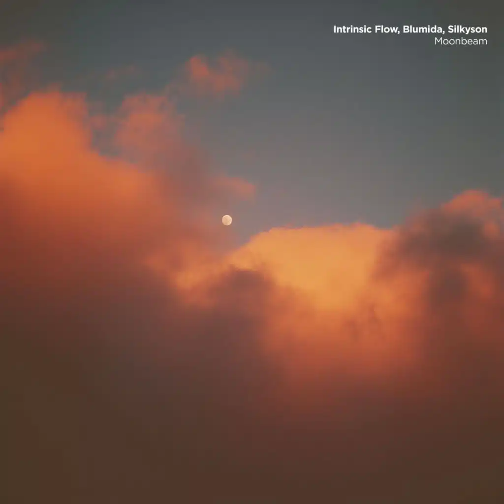 Intrinsic Flow, Blumida & Silkyson