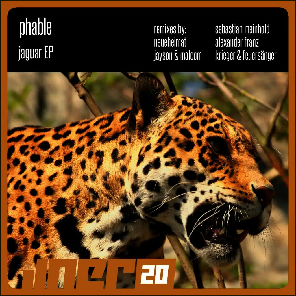 Jaguar (Alexander Franz Remix)