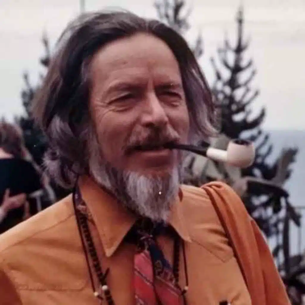 Maybe There’s Nothing Wrong With You - Alan Watts