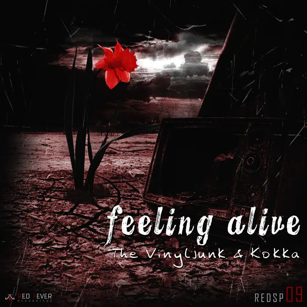 The Vinyl Junk & Kokka