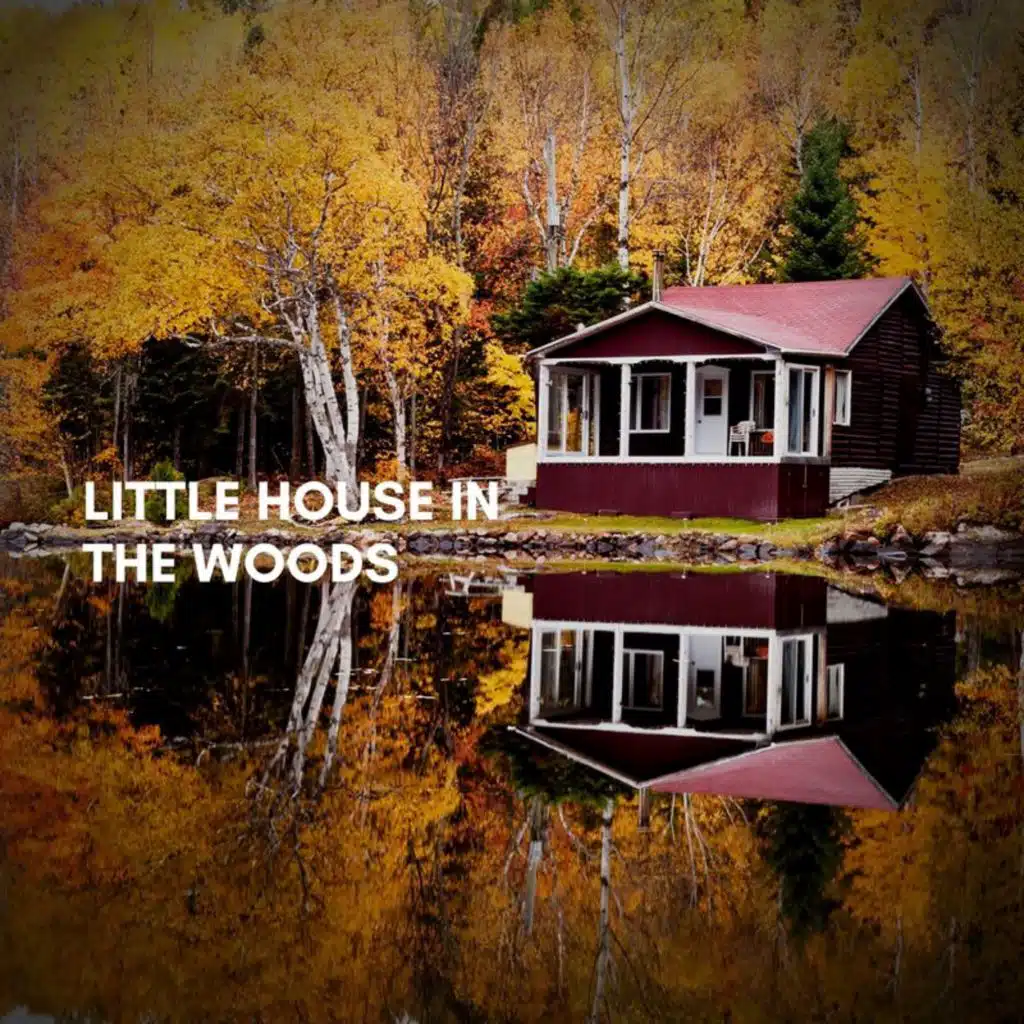 Little House In The Woods