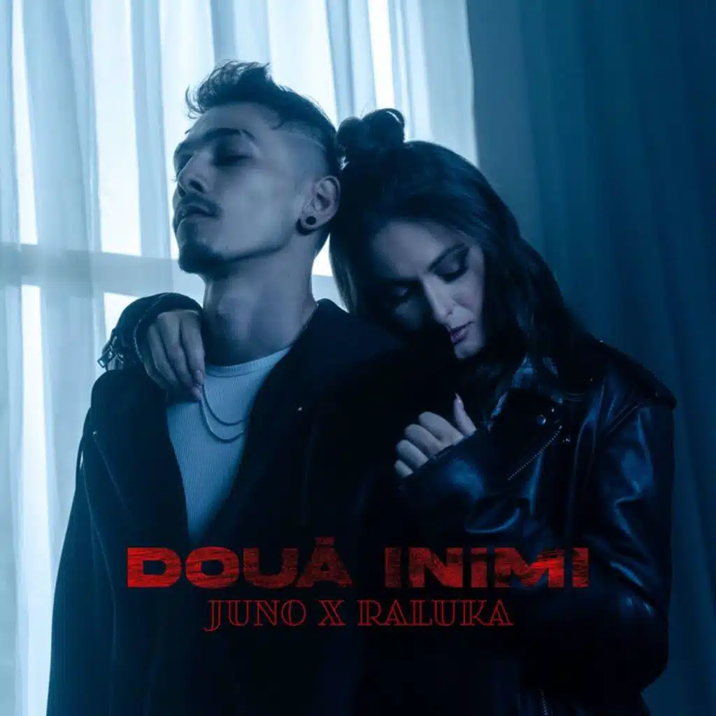 Doua Inimi
