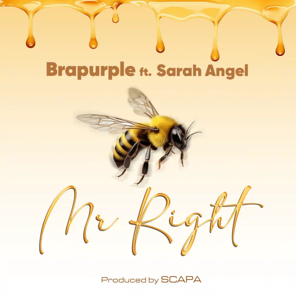 Mr Right (feat. Sarah Angel)