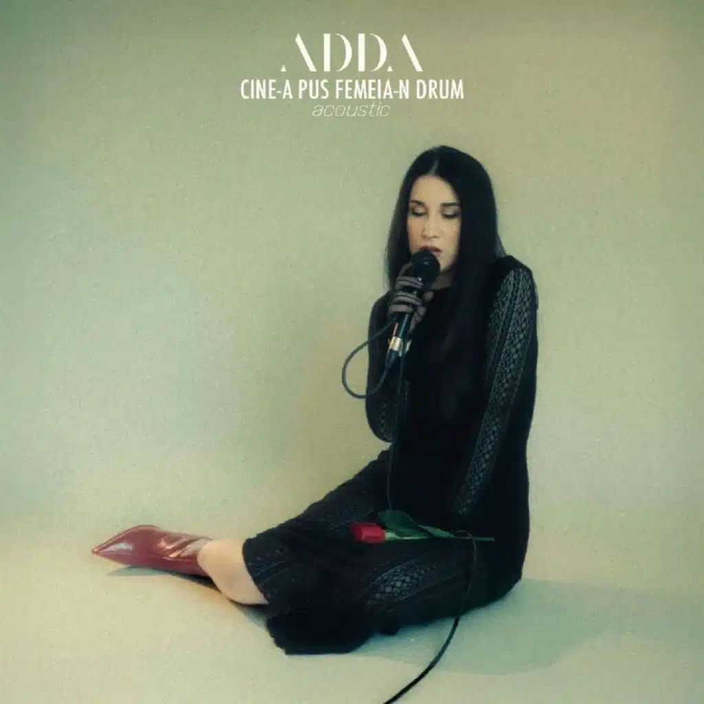 Cine-a pus femeia-n drum (Acoustic)