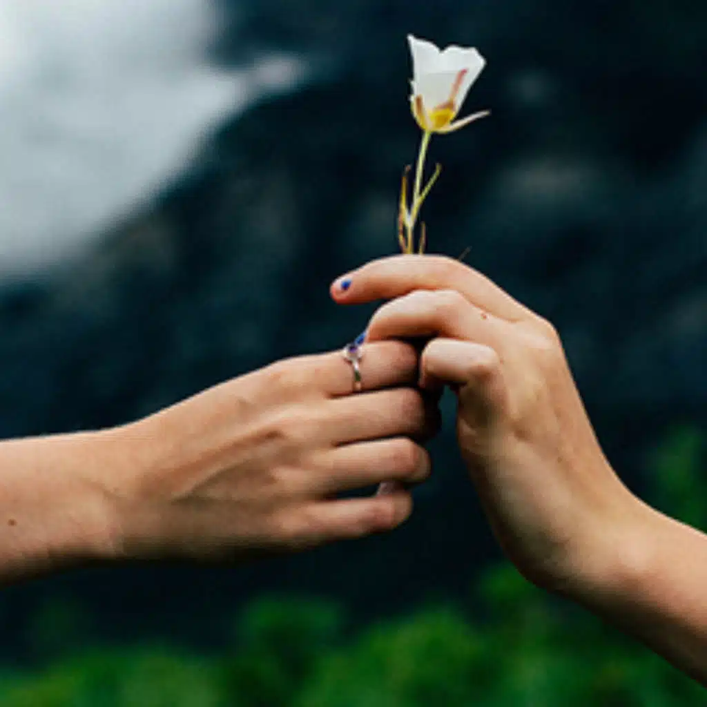 Kindness Goodness Gentleness: Fruit of the Spirit Pt. 8