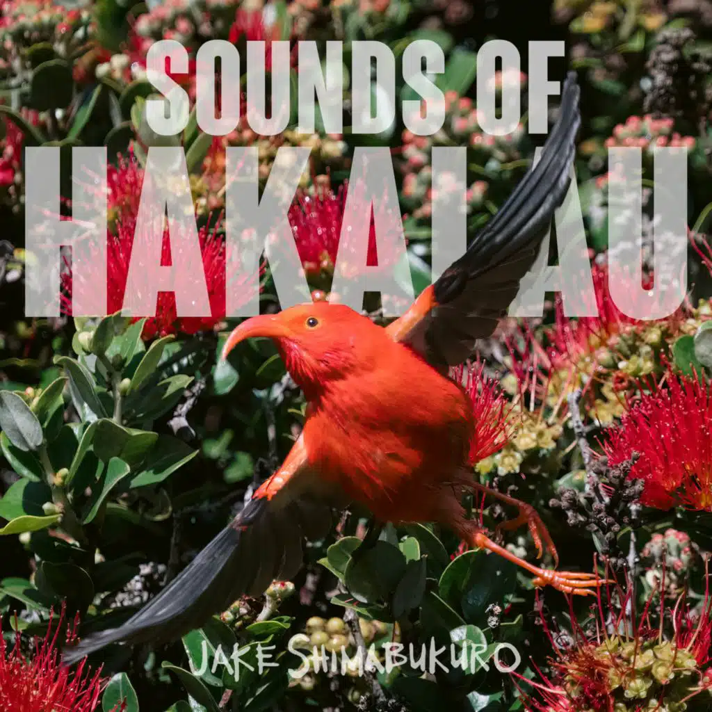 Sounds Of Hakalau (Short Version)