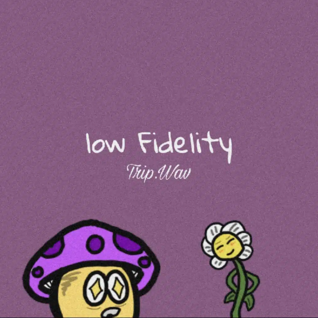 Low Fidelity