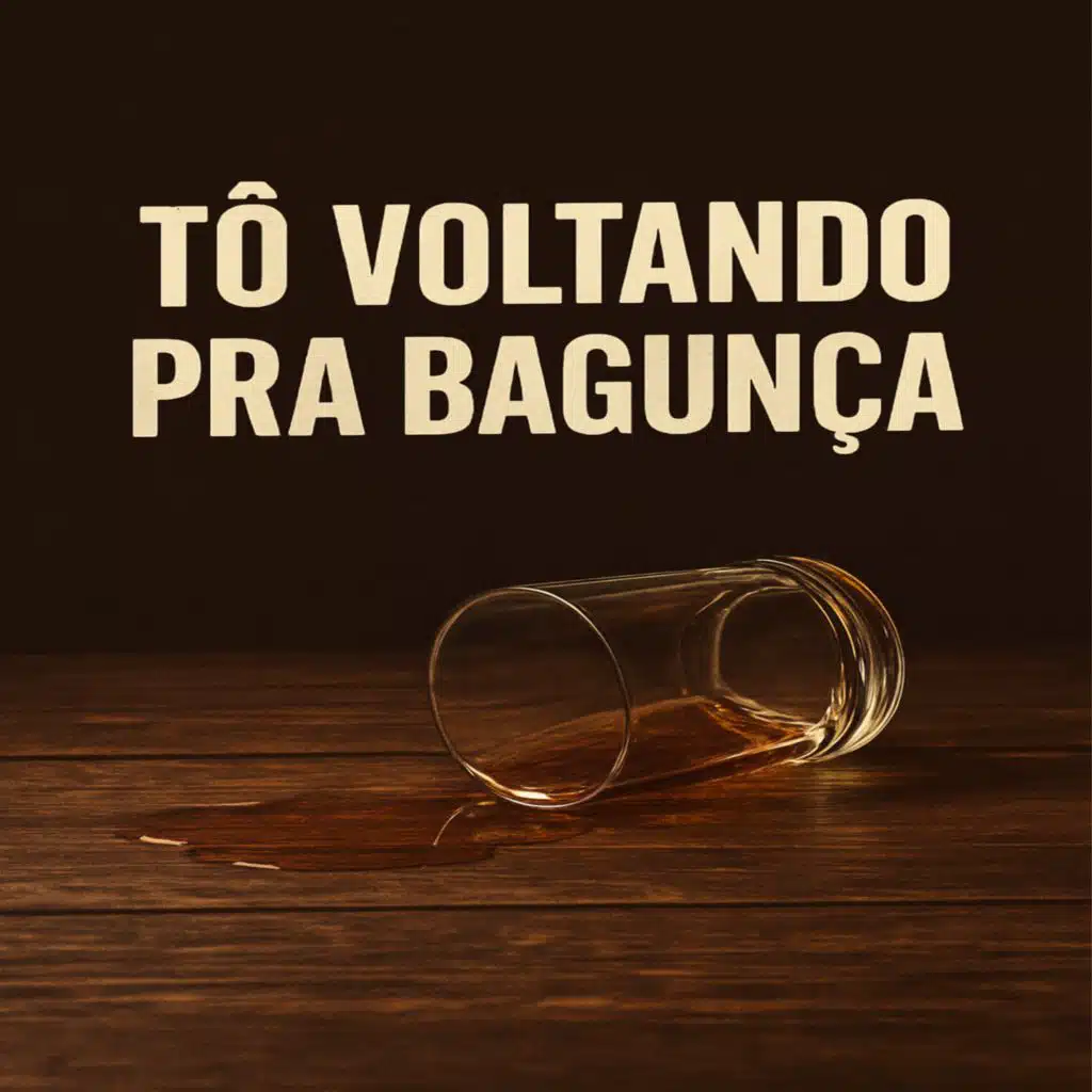 To Voltando Pra Bagunça