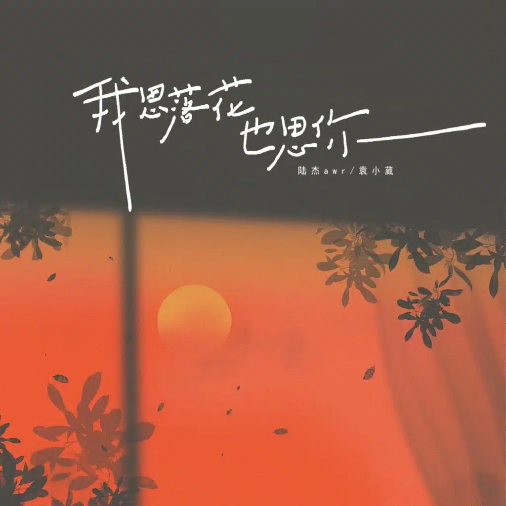 陆杰awr & YuanXiaoWei