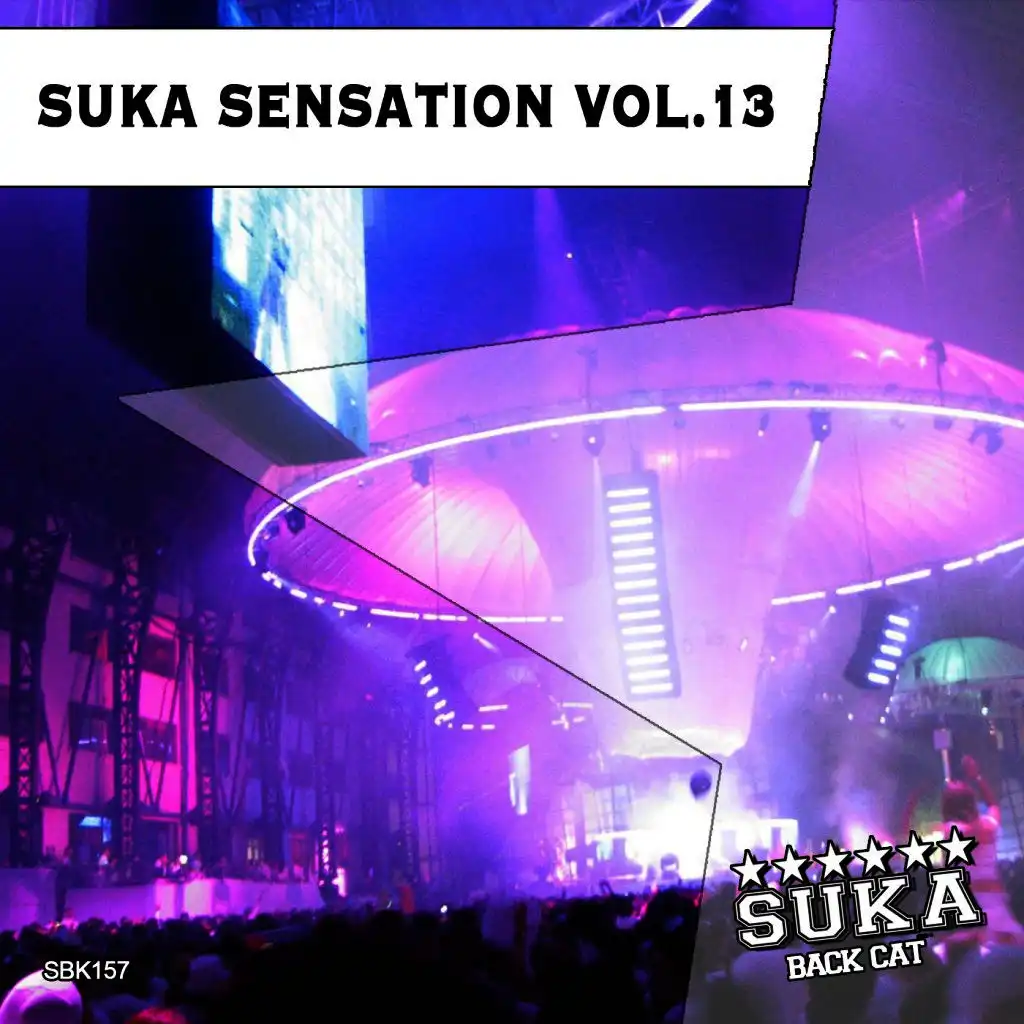 Suka Sensation, Vol. 13