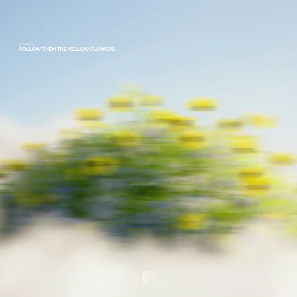 follow them the yellow flowers