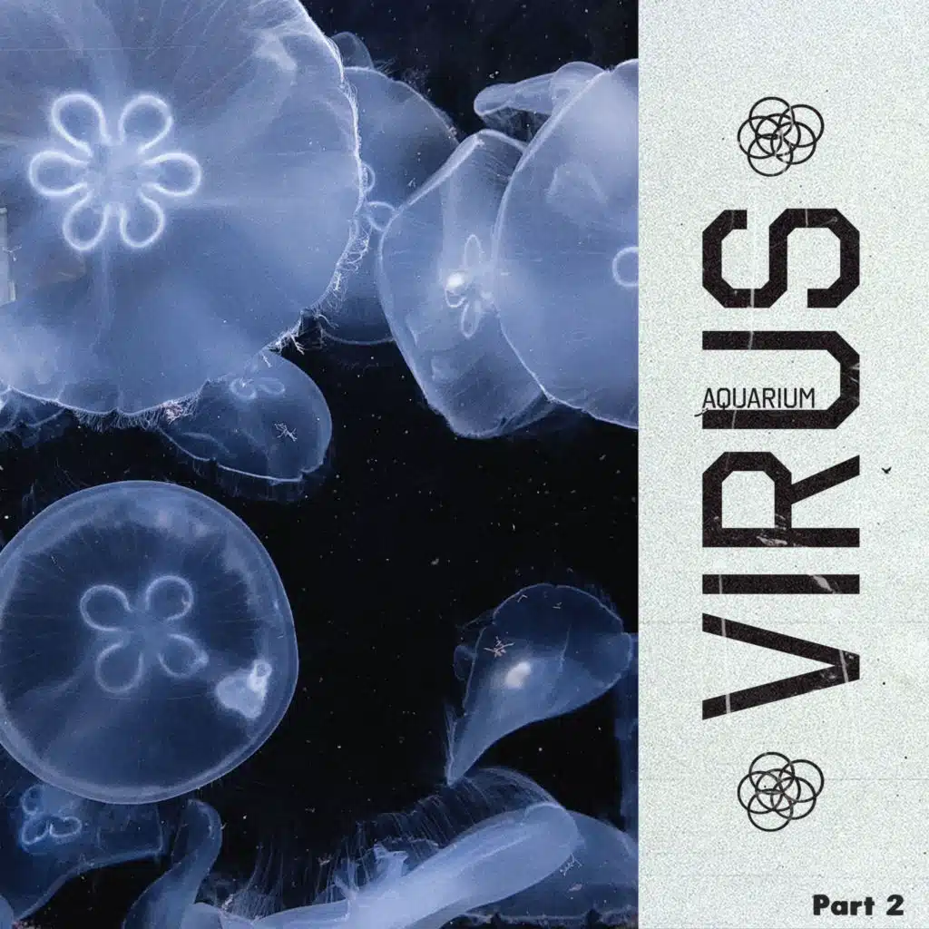 aquarium (part 2)