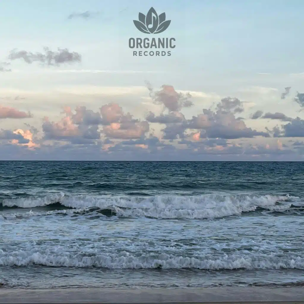 Zona de Sonidos de la Naturaleza