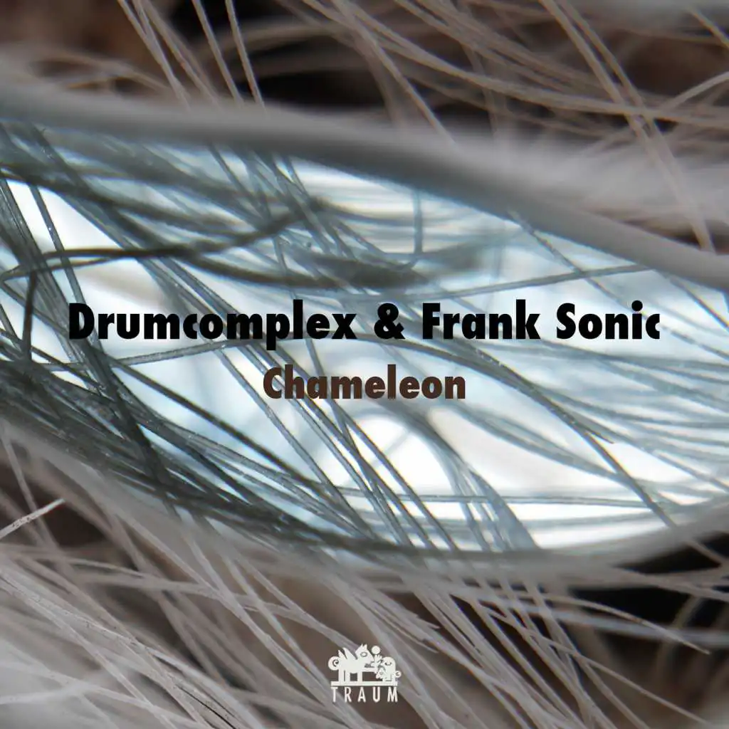 Drumcomplex, Frank Sonic