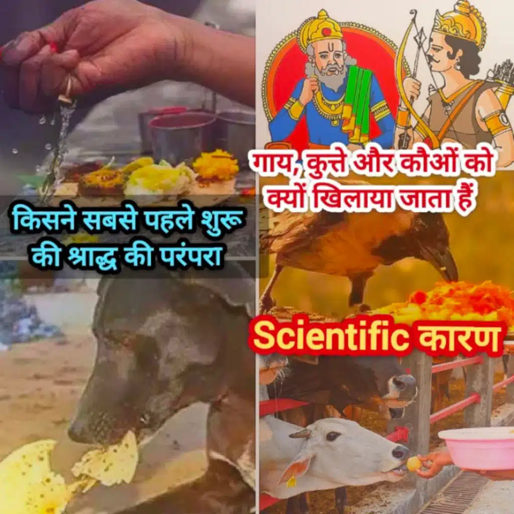 श्राद्ध की शुरुआत और सबसे पहले श्राद्ध किसने किया| गाय कुत्ते और कौओं खिलने का कारण|scientific कारण 