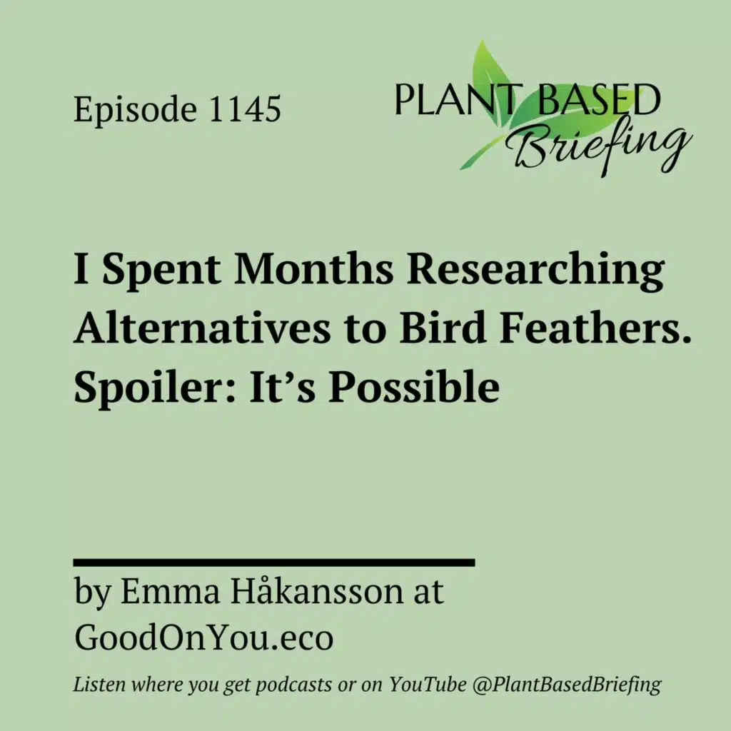 1145: I Spent Months Researching Alternatives to Bird Feathers. Spoiler: It's Possible by Emma Håkansson at GoodOnYou.eco