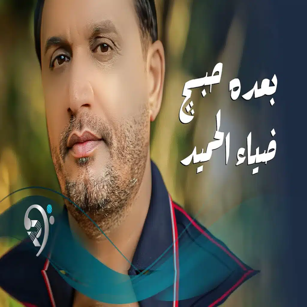 ضياء الحميد