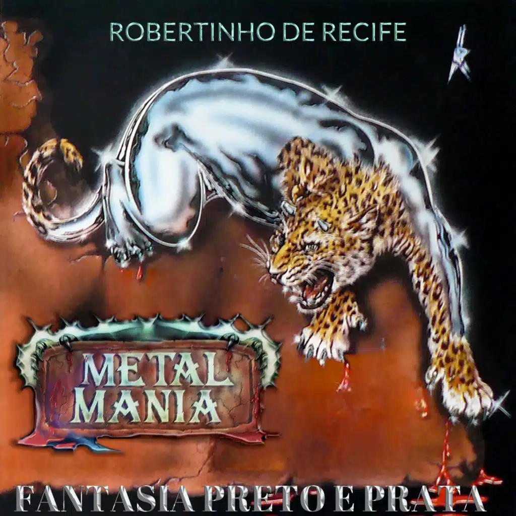 FANTASIA PRETO E PRATA