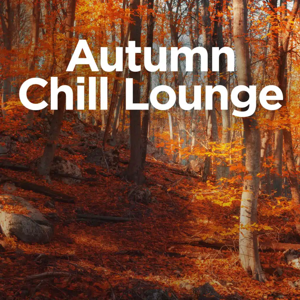 Illusion (feat. LIZ LUNE)