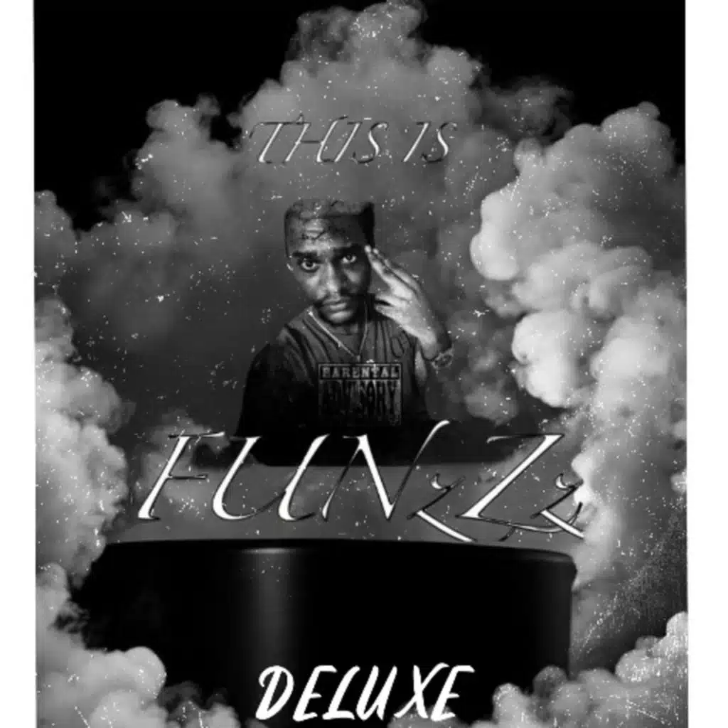 THIS IS FUNzZz Deluxe