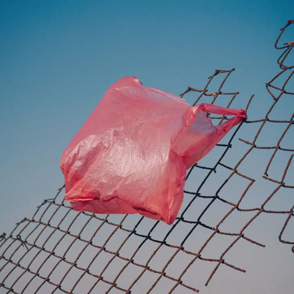 Look Up To Silence and Completely Sing