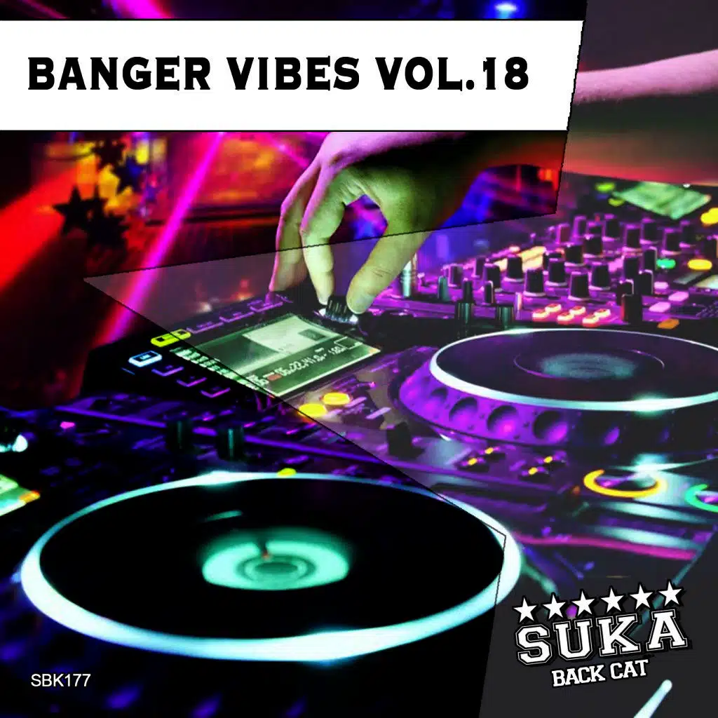 Banger Vibes, Vol. 18
