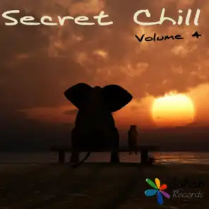 Secret Chill, Vol. 4