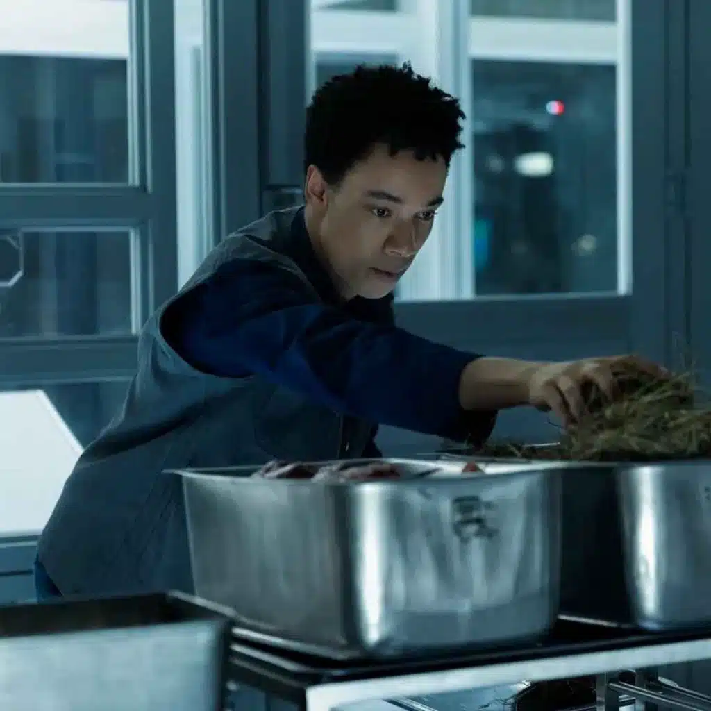 Ep. 81 - The Future Where Movies Are Just Disneys (Plus: Breaking Down The Latest 'Alien: Earth' and 'Peacemaker')