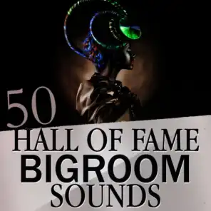 50 Hall of Fame Bigroom Sounds