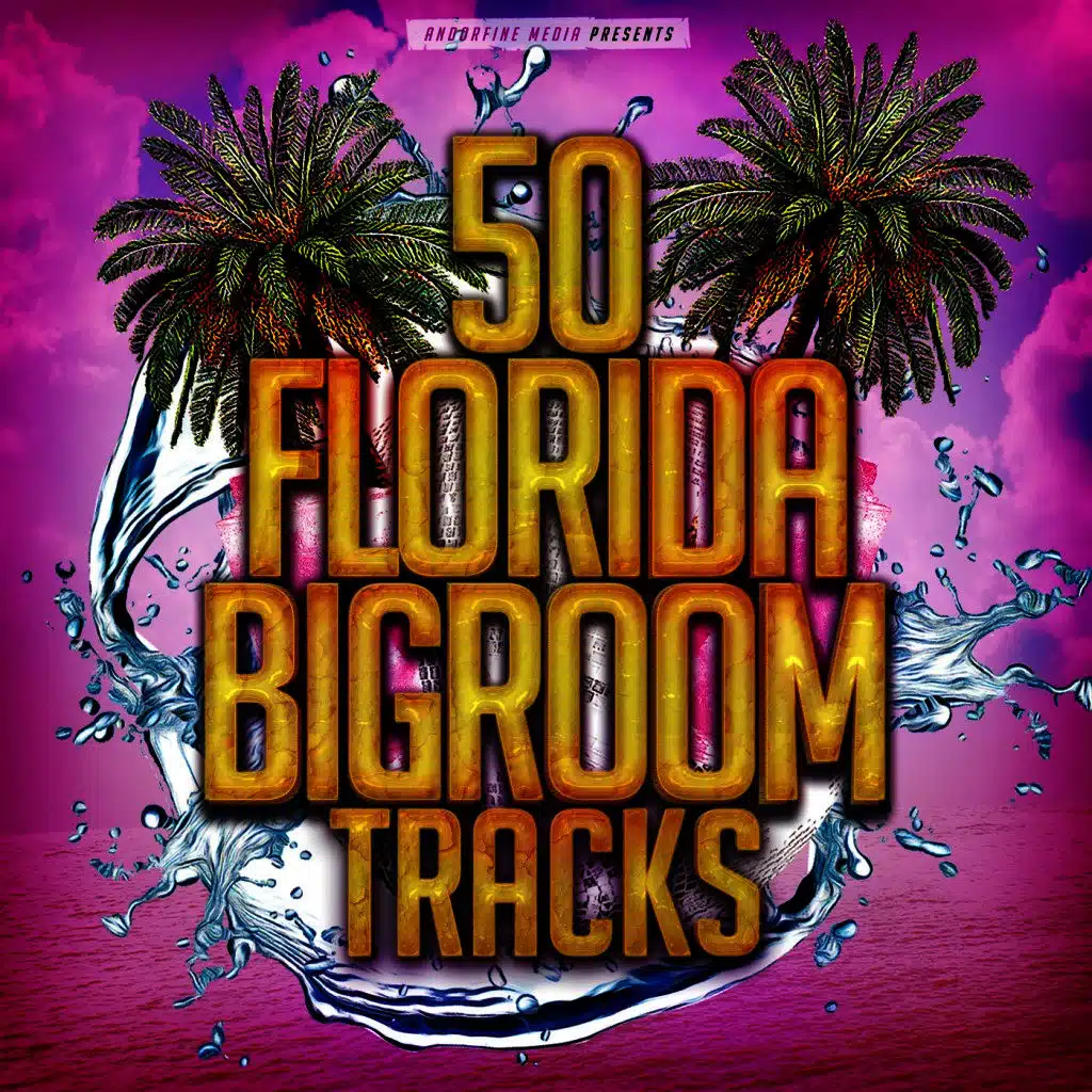 50 Florida Bigroom Tracks