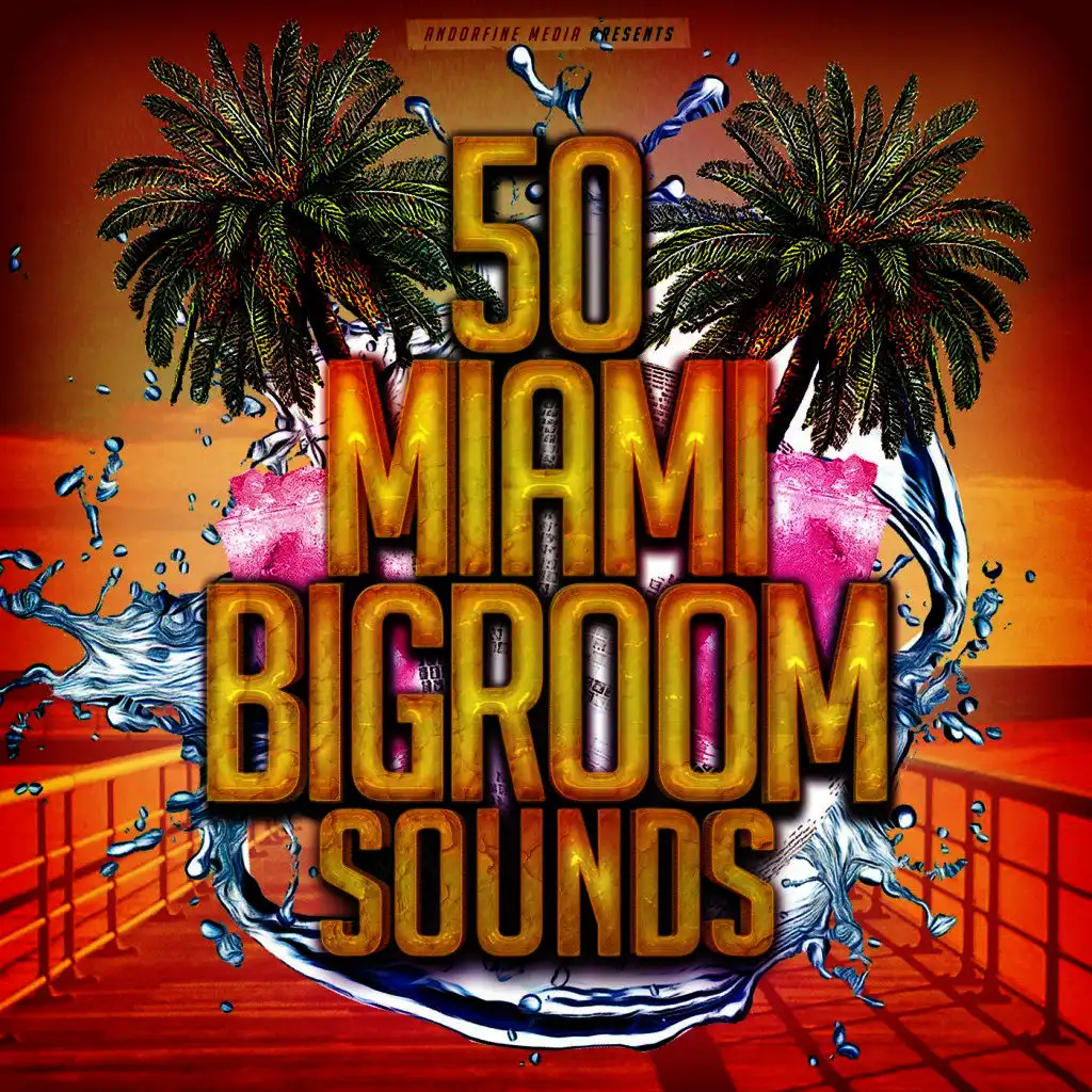 50 Miami Bigroom Sounds