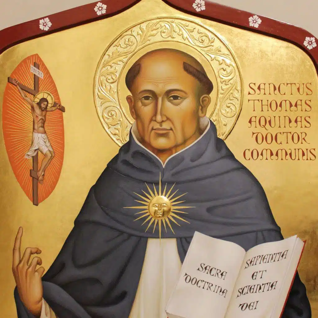 The TI and Your Vocation I Fr. Gregory Pine, O.P.